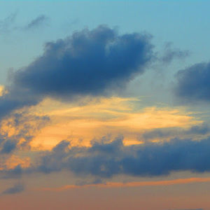 Meet your Posher, Trinity